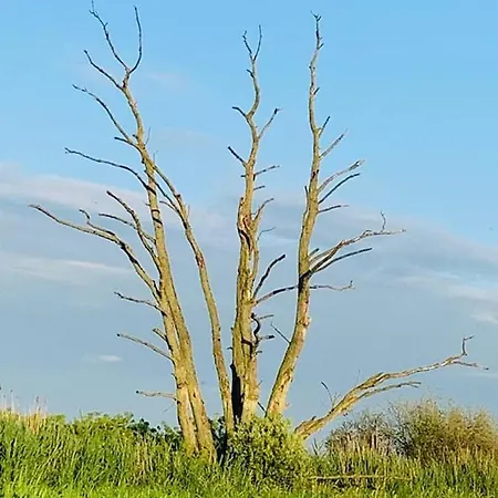 Ausflugsrestaurant & Aalbude & Hausflossvermietung 15 Ps Am Kummerower See-verchen *